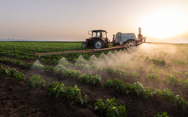 Best Mosquito Control  in Ravenna, NE